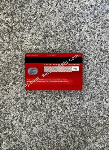 USA Bank of America bank mastercard red photolook back